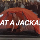 Image for article titled "Stupid Foreigner"? That's a Guy from Jackass!